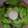 Cooksnap dari Yonanda Sagita untuk resep Bluder pandanBy yunda yun