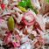 Cooksnap dari lolakitchen untuk resep Megono Pekalongan
