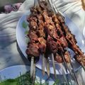 کوک اسنپ دلیار بعد از امتحان کردن 😋کباب دل مرغ 👌.
