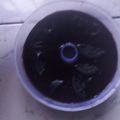 Cooksnap dari dinda untuk resep Agar-agar Jelly coklat biskuit regal