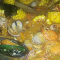 Cooksnap dari Claudya untuk resep Saus Padang Untuk Cumi Dan Seafood Lainnya: TOP ALA RESTORAN
