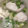 Cooksnap dari Amel Hardy untuk resep Baeksuk (Sup Ayam Gurih Korea)