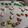 El cooksnap de Cook_and_Jud cuando hizo Galletas Navideñas decoradas con Glasa Real.