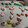 El cooksnap de Cook_and_Jud cuando hizo Galletas Navideñas decoradas con Glasa Real.