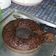 Cooksnap dari Silvia Herlisa untuk resep Banana chocolate muffin 