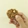 Cooksnap dari Trijadi Ranaya Handayani untuk resep Oat Choco Cheese Cookies