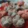 Cooksnap dari Dede Zen untuk resep Bolkus Tepung Beras(Gluten Free And No Egg)#Pr_recookanekabolkus