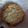 El cooksnap de Cris Perez cuando hizo Galletitas de avena y coco 😋😋.