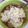 El cooksnap de malcocer_8 cuando hizo Carne de puerco con calabacitas.