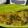 Cooksnap dari Dapur Mama Uwais untuk resep Gulai Ikan Mas