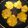 El cooksnap de Carolina Rodriguez cuando hizo Patacones -tostones- con ayuda del microondas.