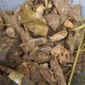 Cooksnap dari Bucil Gita untuk resep Paru Ungkep Goreng Kering