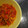 Cooksnap dari Dapur Atin untuk resep Kerang remis saus padang mudah