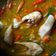 Cooksnap dari Mira Imam untuk resep Sup Gurame bening