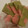 vanille's cooksnap of when they made Sakura and Matcha Cookies.
