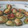 El cooksnap de Matilde Lopez cuando hizo Bocaditos de calabacín con serrano y manchego.