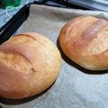Folcarelli Pasqualina's cooksnap of when they made Pane di grano duro.
