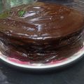 El cooksnap de Erica Schmidt cuando hizo Torta Matilda de chocolate súper!!!.