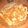 El cooksnap de Dali Capretti cuando hizo Fideo caseros.