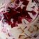 El cooksnap de Soledad cuando hizo Gelatina de Mosaico cremosita!🍮.