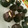Franchesca Borromeo Blanco's cooksnap of when they made Oreo Truffles.