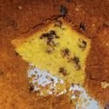 Cooksnap dari Dimas Angga Pradiga untuk resep Bolu pisang tanduk