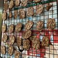 飄雲夢's cooksnap of when they made 巧克力杏仁餅乾.