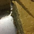 El cooksnap de eliana cuando hizo Tarta de Ricota y Naranja.