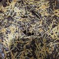 Cooksnap dari Nur Wahyuni Ningsih untuk resep Fudgy Melted Choco Brownies panggang premium