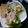 El cooksnap de Olga Rodriguez cuando hizo Ensalada fresca con atún de lata.