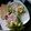 El cooksnap de Olga Rodriguez cuando hizo Ensalada fresca con atún de lata.