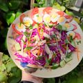 Cooksnap của Nguyễn Thụy Vân An khi họ làm theo món Nộm gà xé