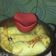 Cooksnap dari Risty Sucianingsih untuk resep Egg Chicken Roll Ala Hokben