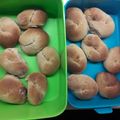 Cooksnap από Δωρα στη συνταγή Νηστίσιμα κουλουράκια κανέλας