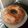 El cooksnap de carito cuando hizo Queque integral de coco.