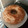 El cooksnap de carito cuando hizo Queque integral de coco.
