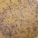 Anupa Prajapati's cooksnap of when they made કાળા અડદ.