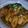 Cooksnap dari Hery Kurniawan untuk resep Ayam Bumbu Bacem