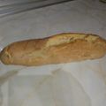 El cooksnap de Perro semihundido cuando hizo Pan de Torrijas.