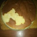 Cooksnap dari Wiewie Daryanti untuk resep Cheddar cheese cake (ekonomis & lebih enak dr ogura!)
