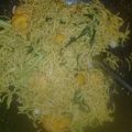 Cooksnap dari Emma maelani untuk resep Mie goreng simple (bekal sekolah anak)