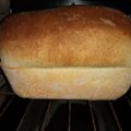 El cooksnap de Elvis Lutardo Diaz Olivo cuando hizo Pan de molde o pan de Sándwich.
