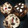 El cooksnap de elizabeth cuando hizo Pan dulce artesanal.
