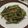Cooksnap dari mutiara wakiran untuk resep Cah kangkung bawang putih