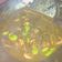 Cooksnap dari hanna nina untuk resep Udang sambal ijo #tantanganakhirtahun #masakditahunbaru