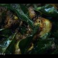 Cooksnap dari Tiara Sinta untuk resep Ayam tangkap aceh