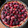 El cooksnap de Carolina Castillo cuando hizo Kuchen alemán de moras silvestres.