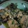 Cooksnap dari Triska Yudha untuk resep Ayam sambal cabe ijo