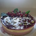 El cooksnap de Martha cuando hizo Tarta de mousse de frambuesa y mango y bizcocho de pistachos.