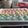 Priyanka Shah Sanghvi's cooksnap of when they made Milkmaid Coconut Ladoo.